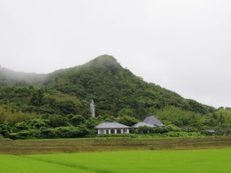 田んぼ・緑が綺麗。日本の原風景