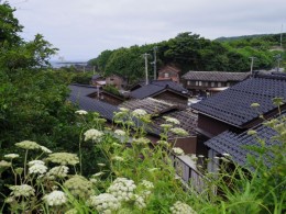 高台に上がって、宿根木の集落を見る