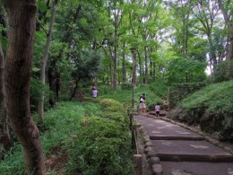 都会のど真ん中には見えませんね。有栖川公園