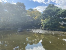 丸山公園を朝散歩